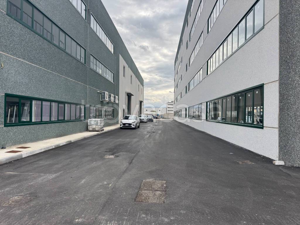 immagine annuncio 12 di 14