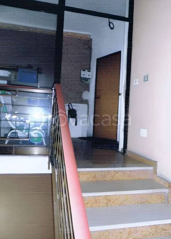 immagine annuncio 2 di 13