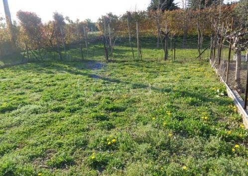 immagine annuncio 12 di 14