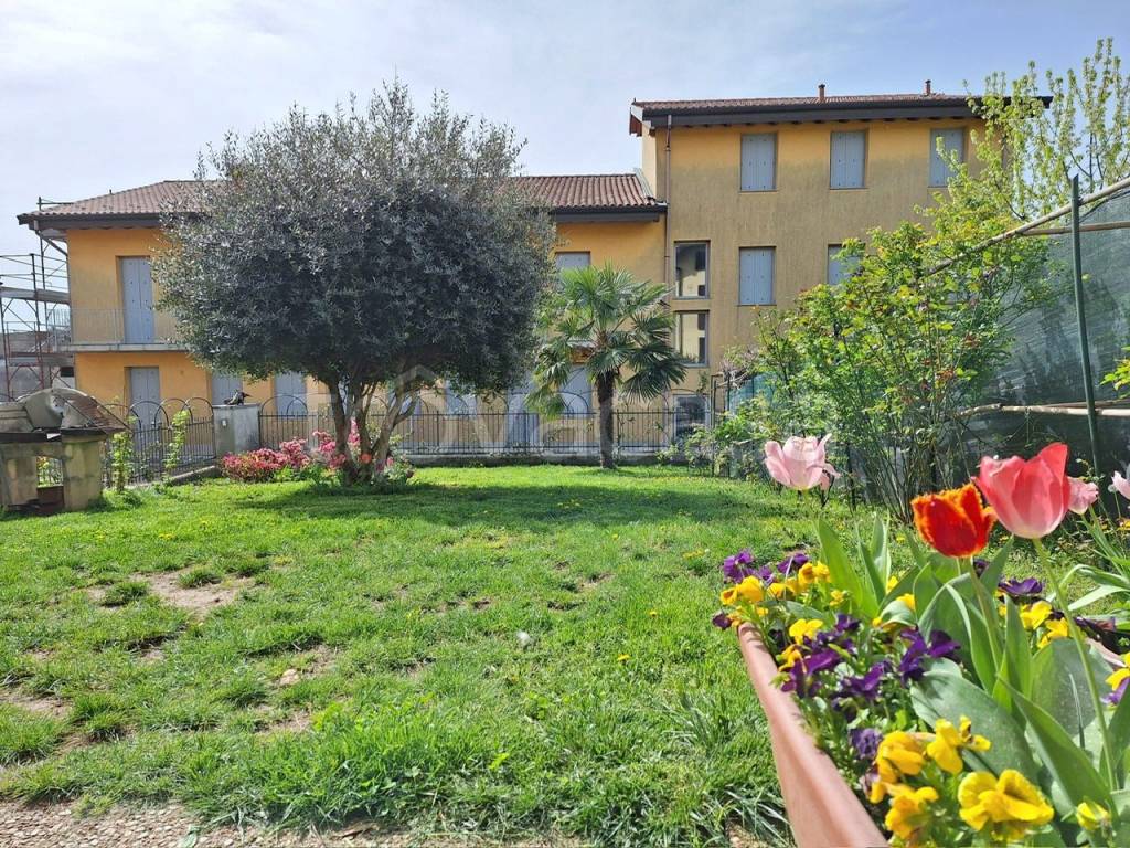 immagine annuncio 1 di 15