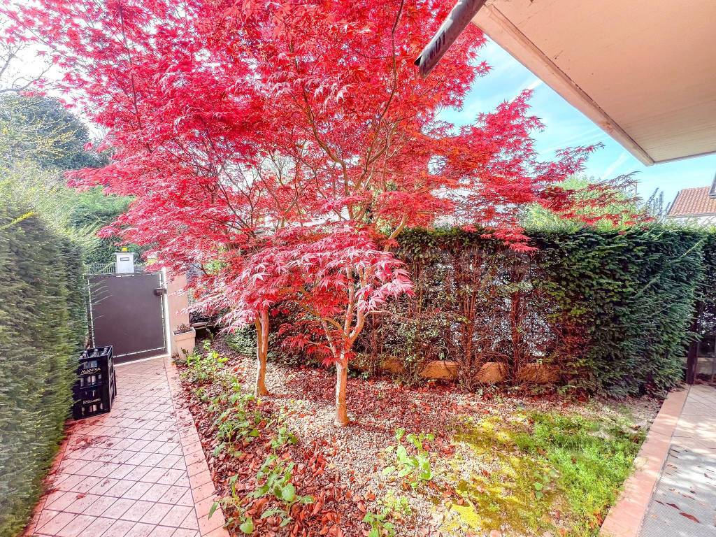 immagine annuncio 1 di 13