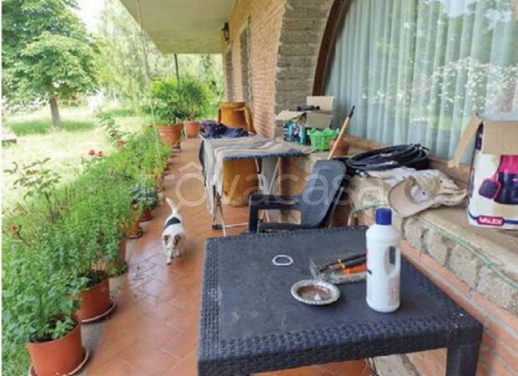 immagine annuncio 10 di 15