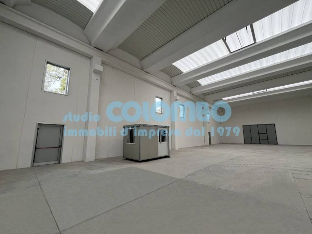 immagine annuncio 12 di 15