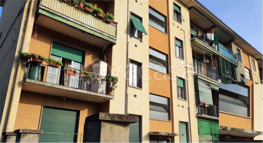 immagine annuncio 1 di 13