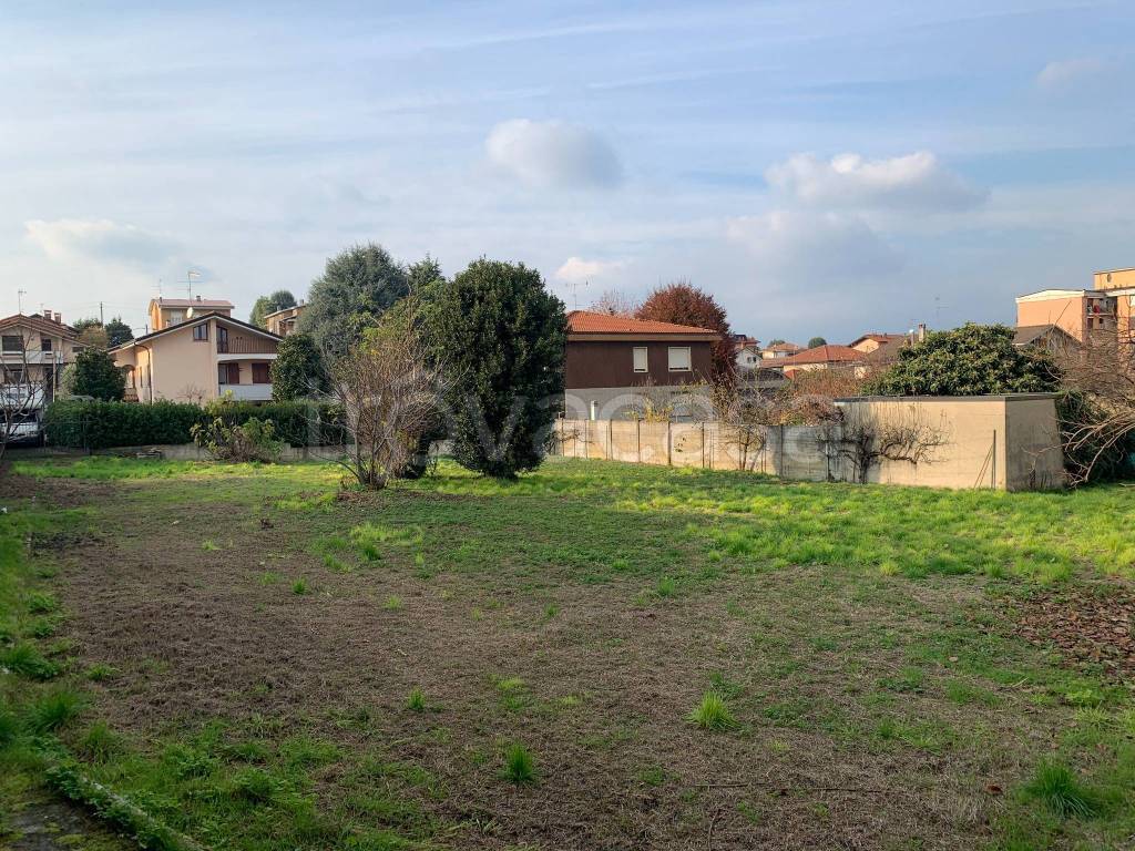 immagine annuncio 6 di 12