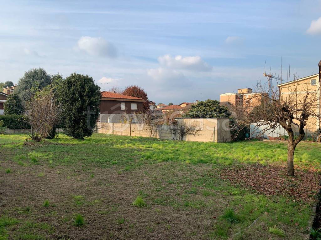 immagine annuncio 5 di 12