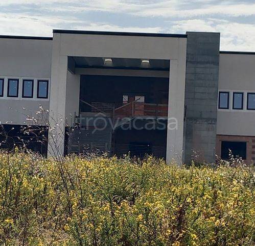 immagine annuncio 1 di 4