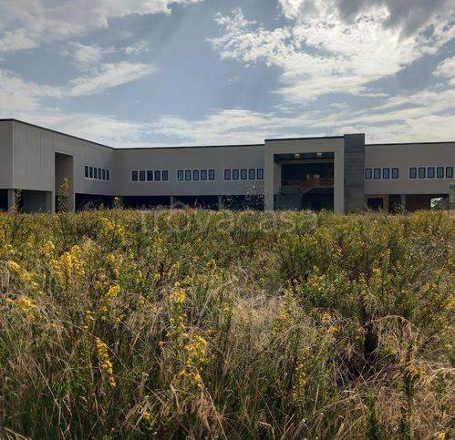 immagine annuncio 2 di 4