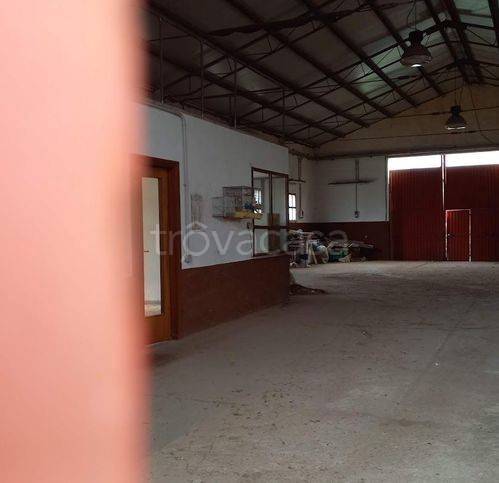 immagine annuncio 2 di 4