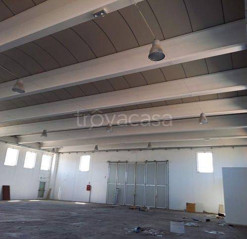 immagine annuncio 3 di 7