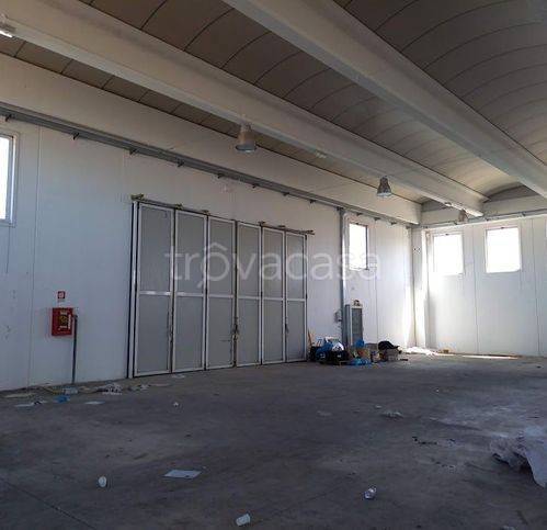 immagine annuncio 4 di 7