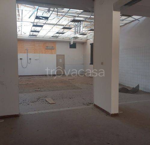 immagine annuncio 5 di 7