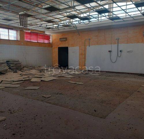 immagine annuncio 6 di 7