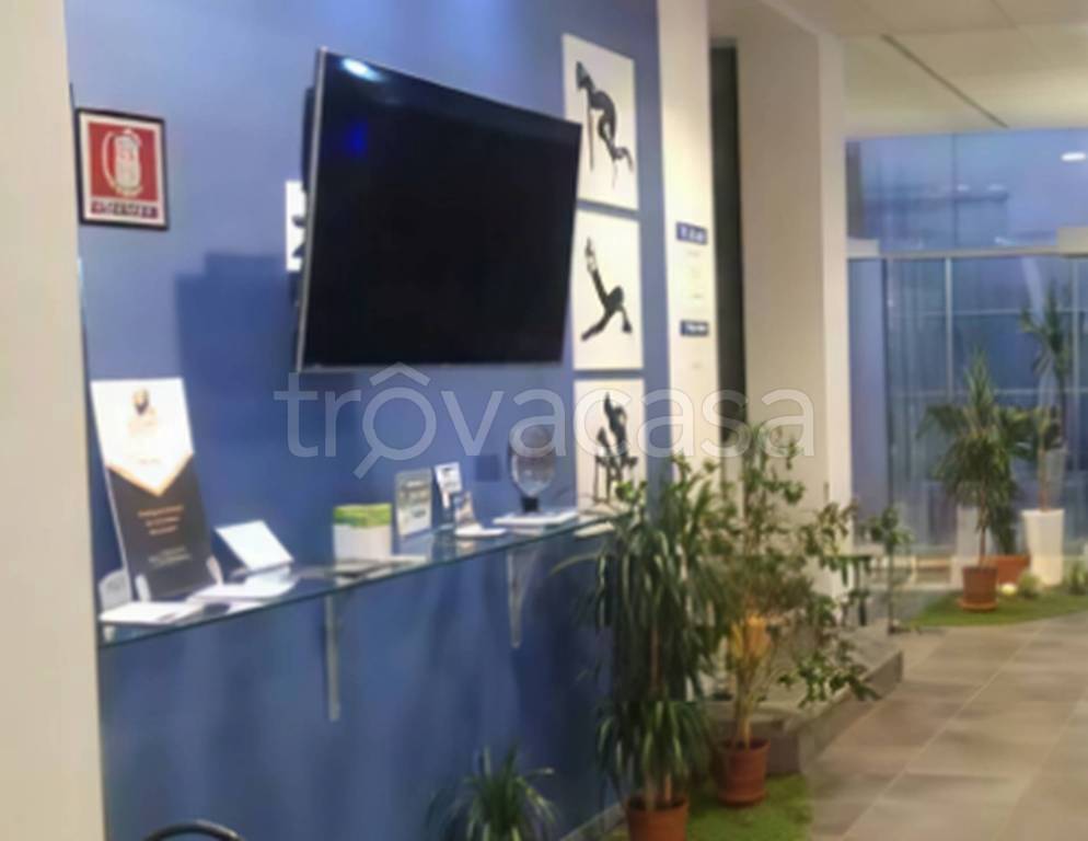 immagine annuncio 7 di 12