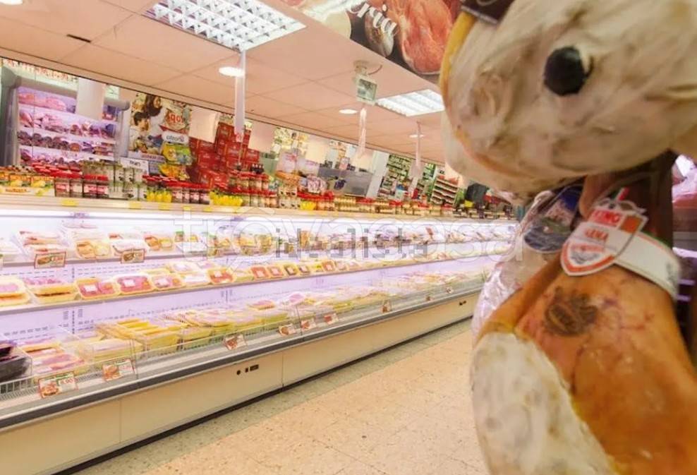 immagine annuncio 2 di 7