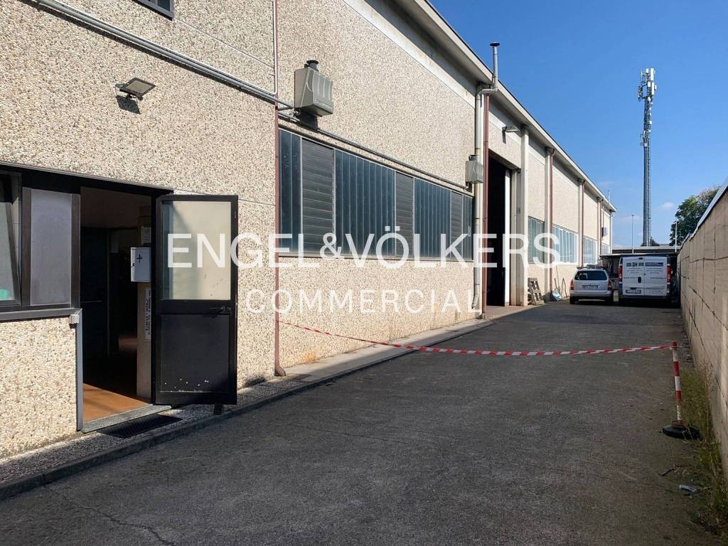 immagine annuncio 11 di 15