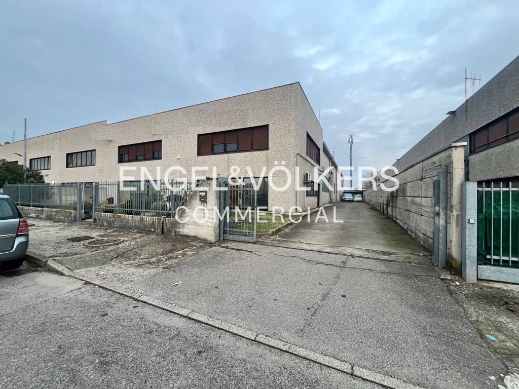 immagine annuncio 12 di 15