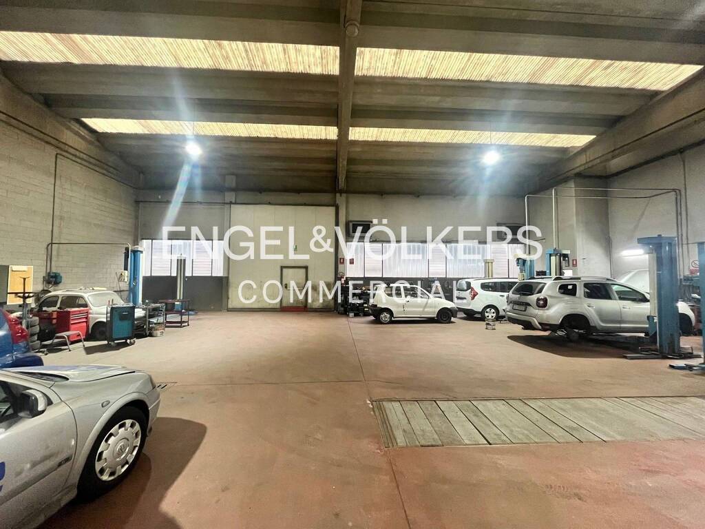 immagine annuncio 1 di 15