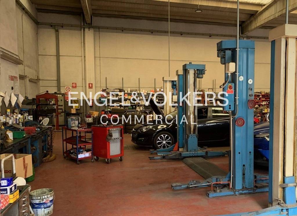 immagine annuncio 4 di 15