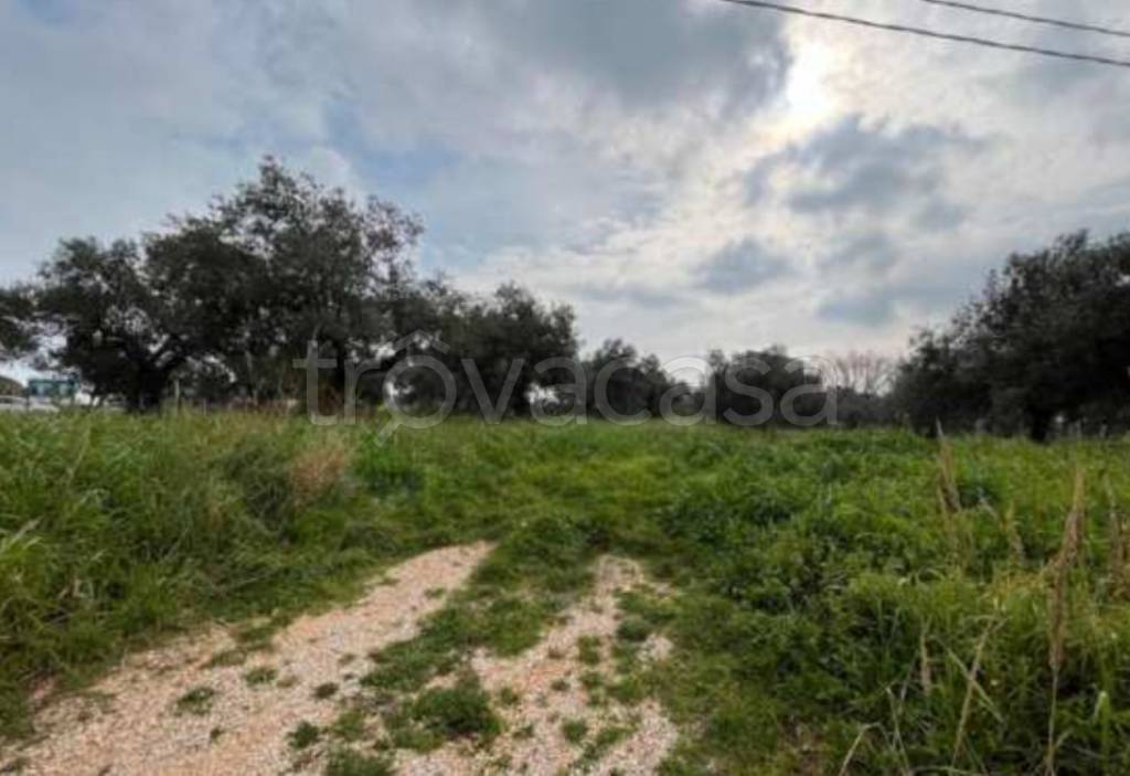 immagine annuncio 2 di 11