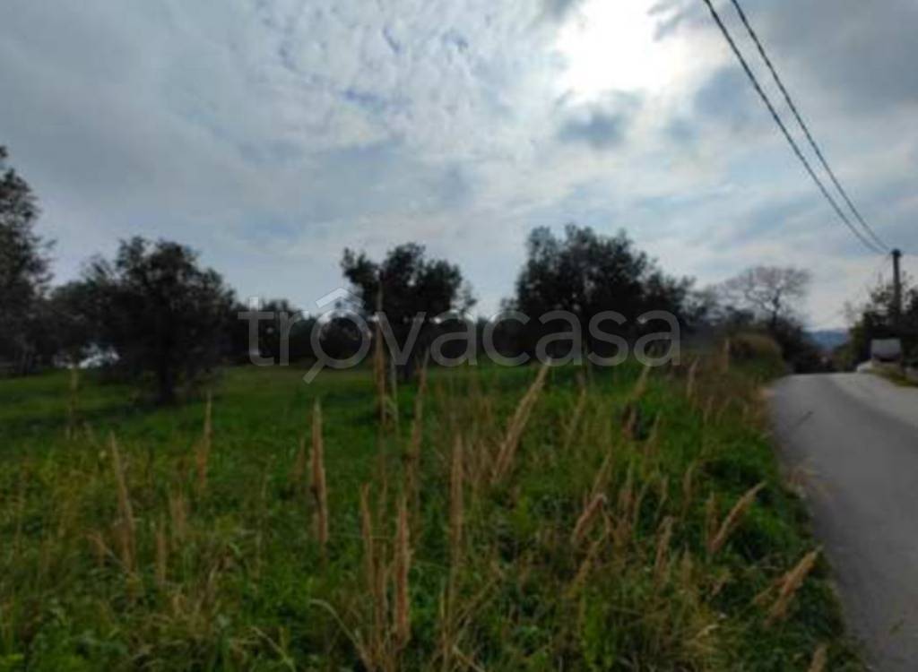 immagine annuncio 3 di 11