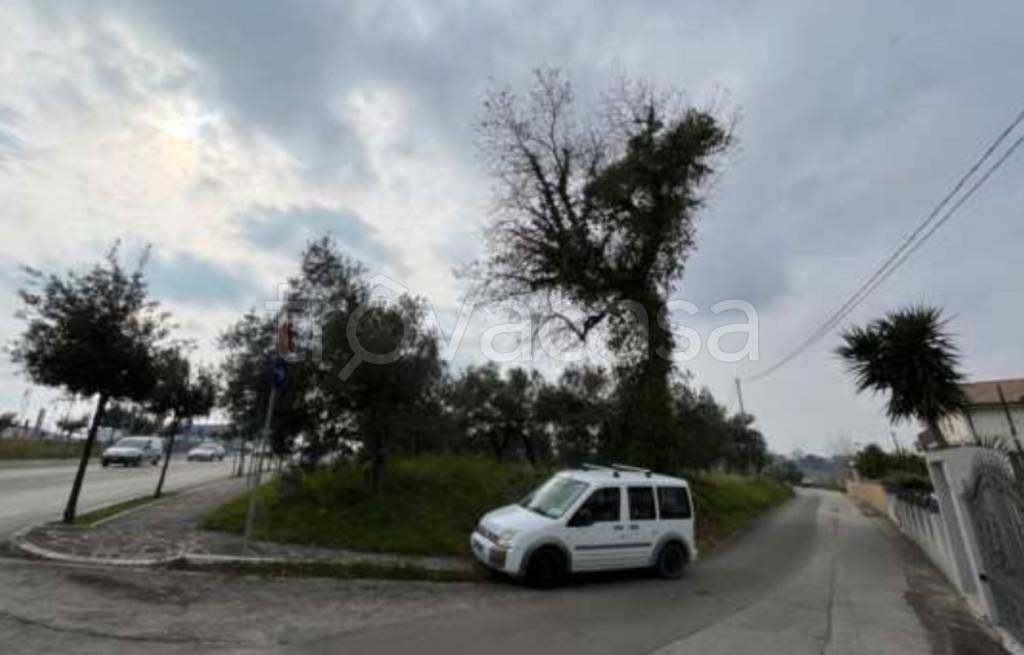 immagine annuncio 7 di 11