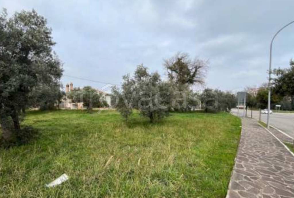 immagine annuncio 8 di 11