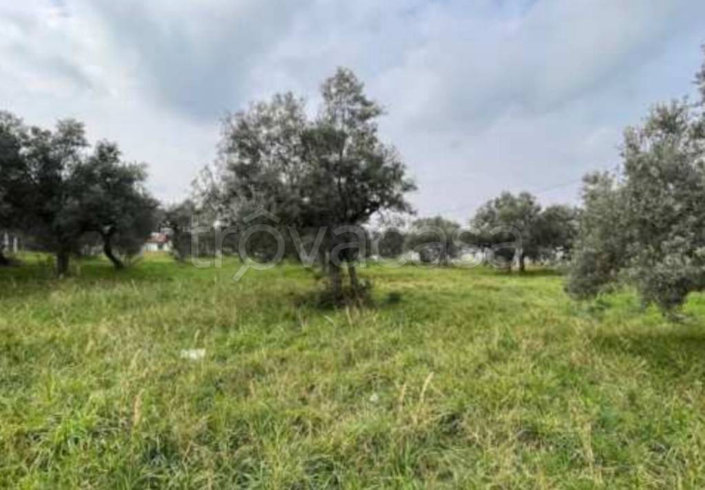 immagine annuncio 9 di 11