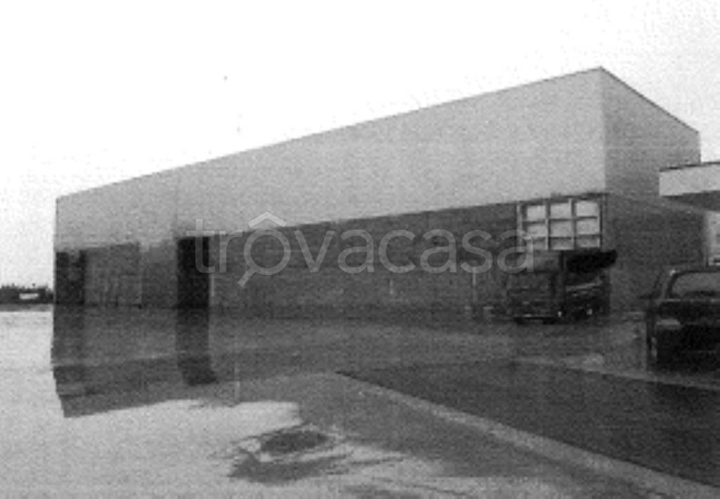 immagine annuncio 6 di 11