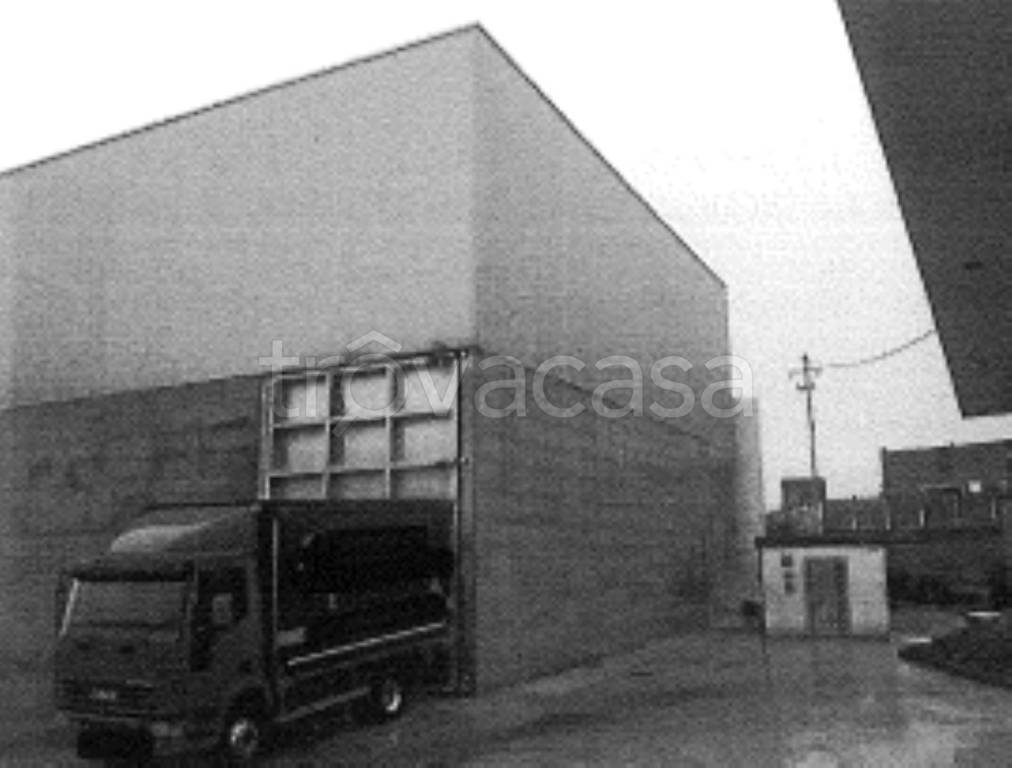 immagine annuncio 7 di 11