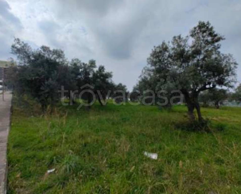 immagine annuncio 10 di 11