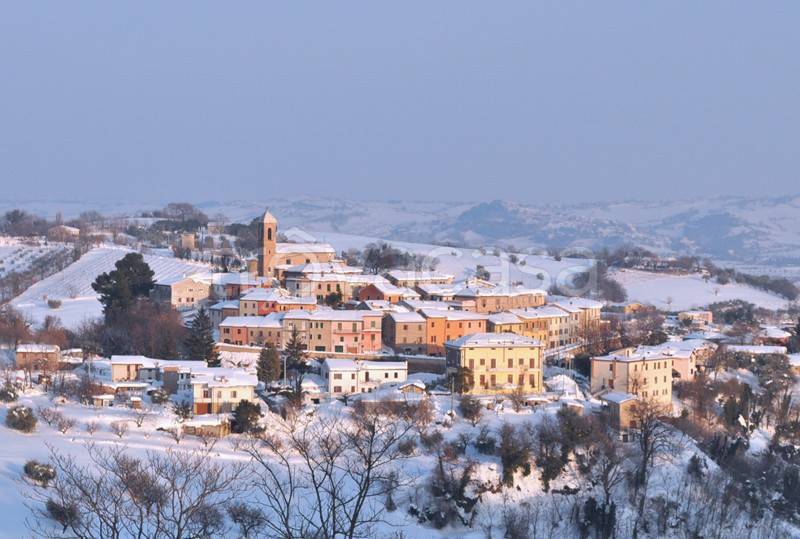 immagine annuncio 10 di 12