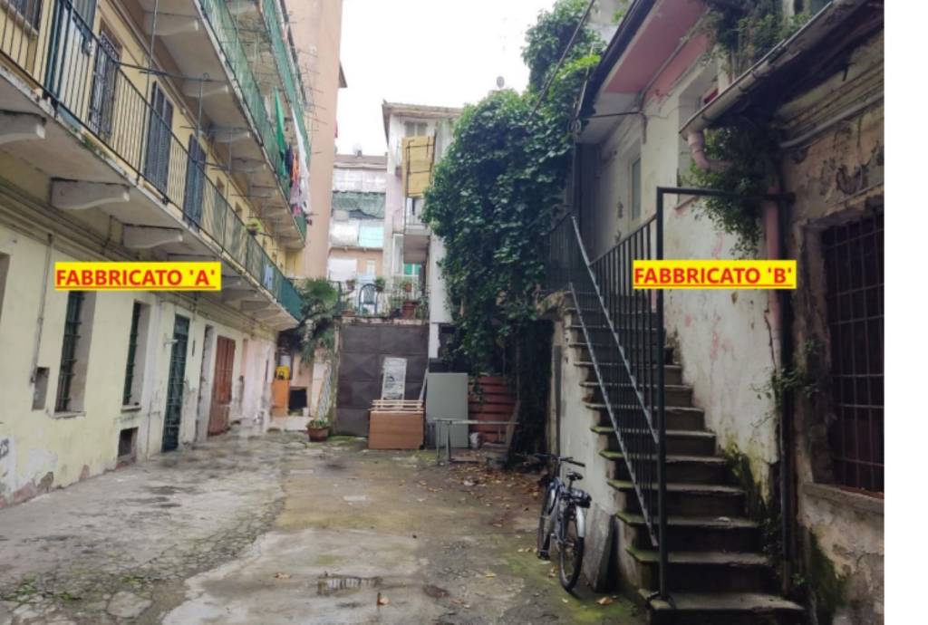 immagine annuncio 3 di 14