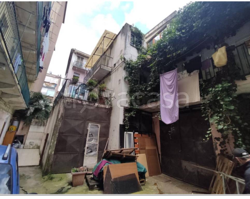 immagine annuncio 12 di 14