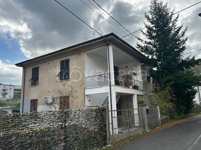 immagine annuncio 12 di 13