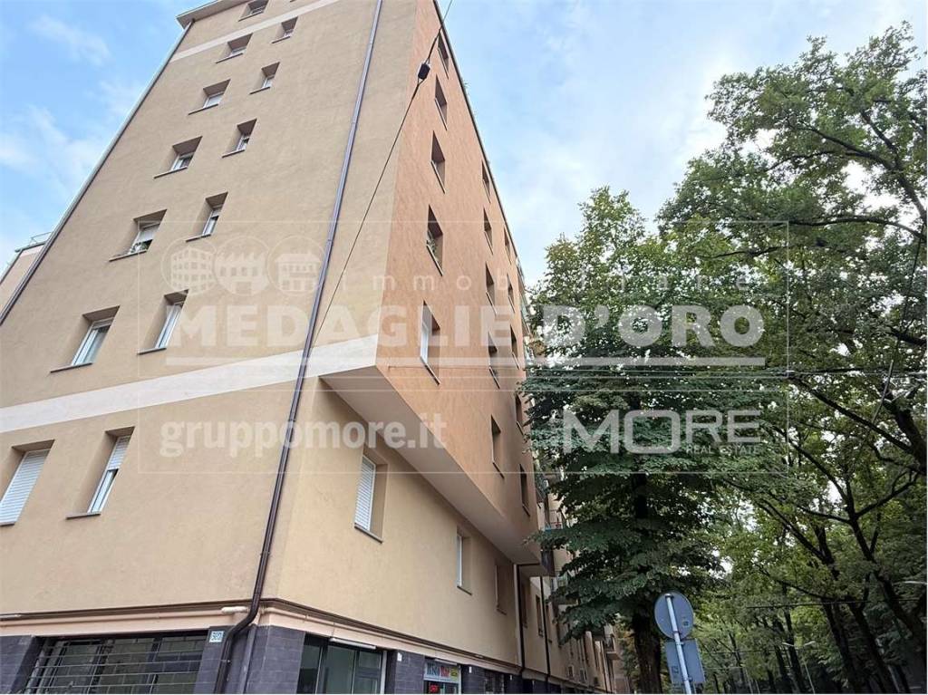 immagine annuncio 9 di 12