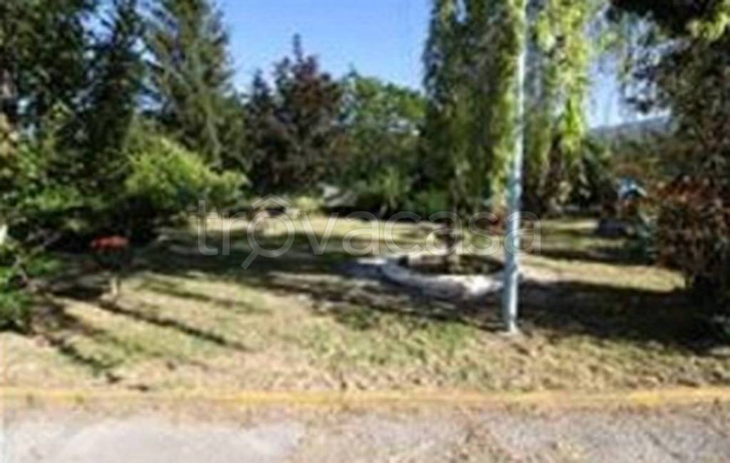 immagine annuncio 6 di 12