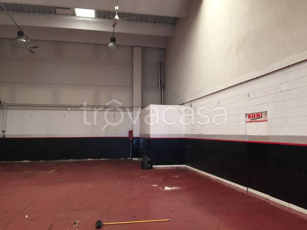 immagine annuncio 3 di 10