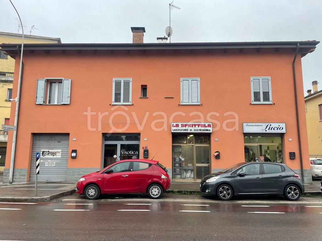 immagine annuncio 2 di 13