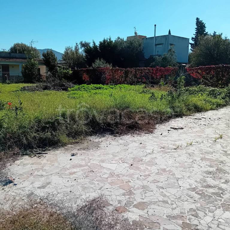 immagine annuncio 5 di 13