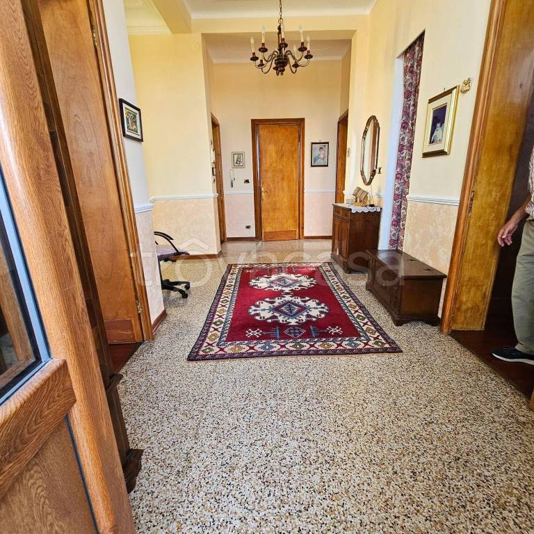 immagine annuncio 11 di 14