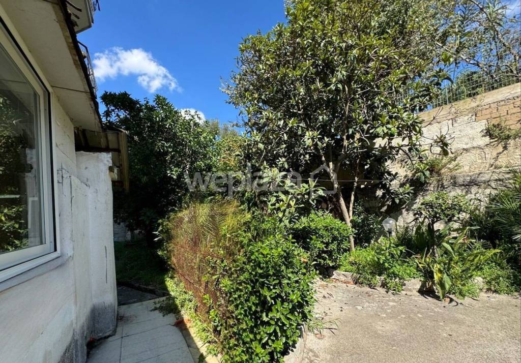 immagine annuncio 9 di 14