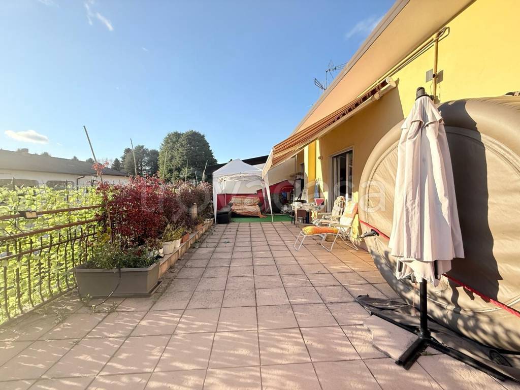 immagine annuncio 12 di 15