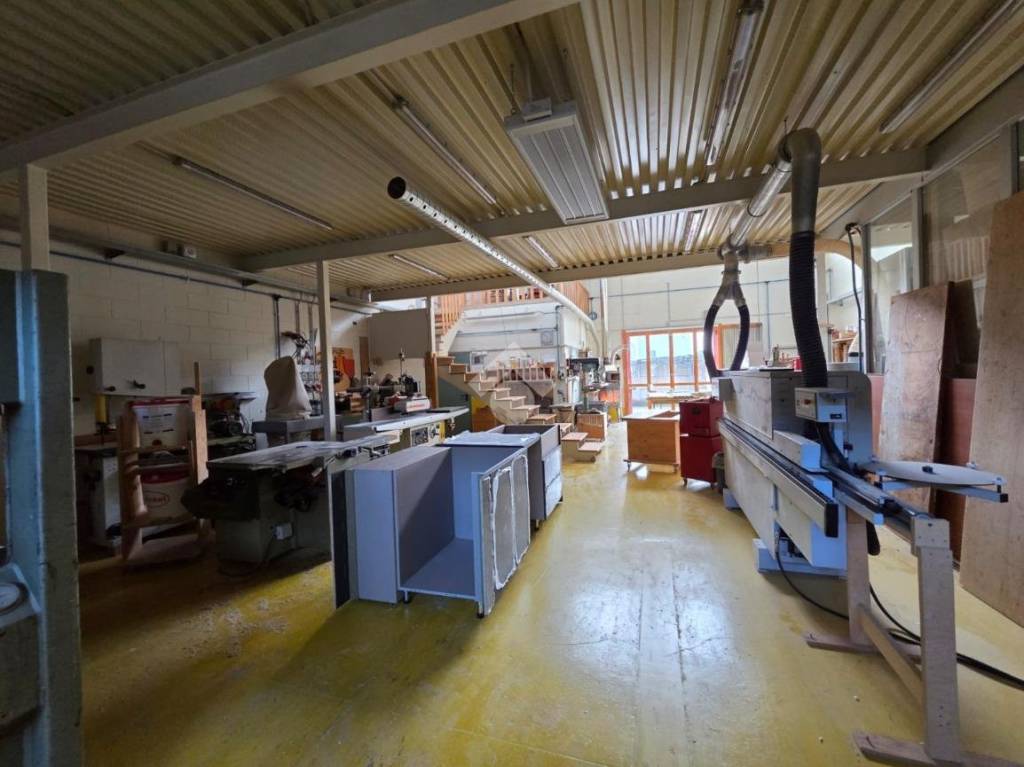 immagine annuncio 12 di 15