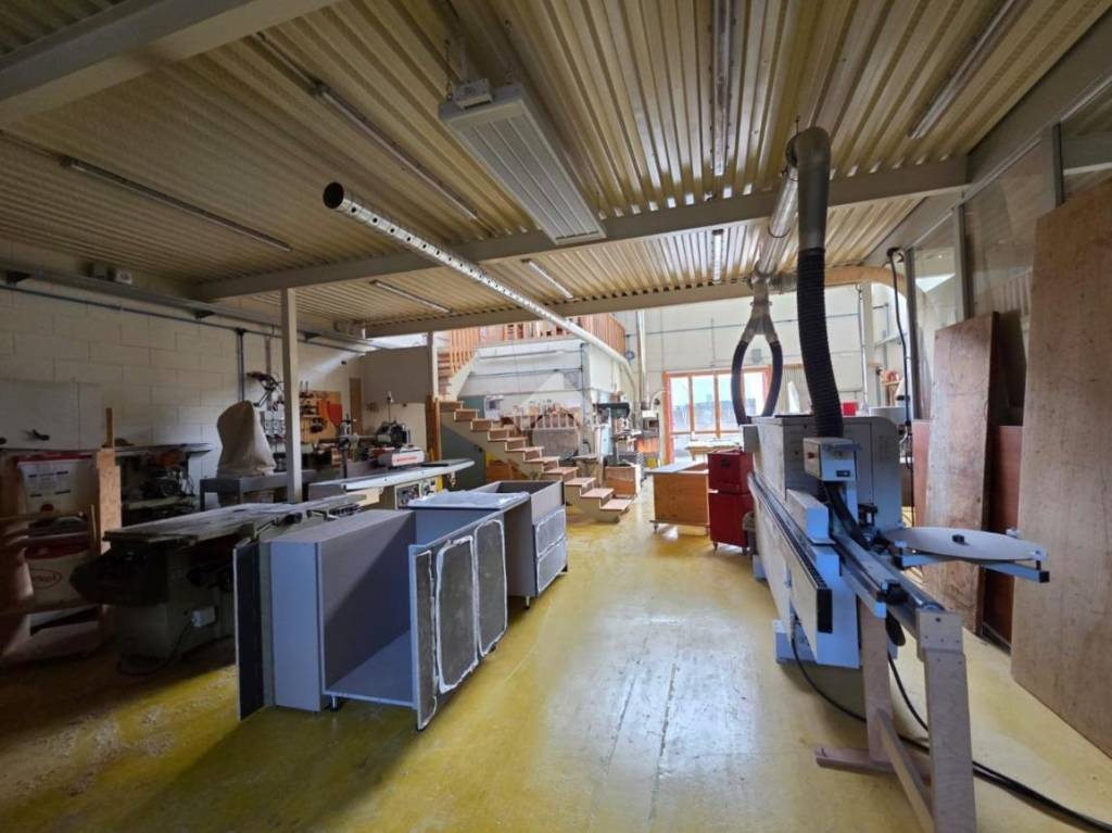 immagine annuncio 5 di 15