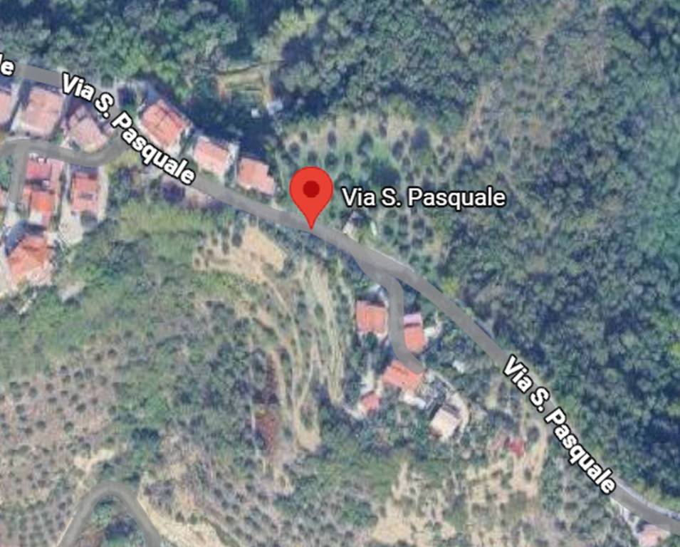 immagine annuncio 6 di 12