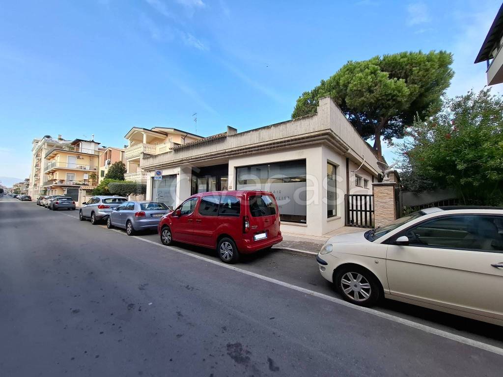 immagine annuncio 4 di 8