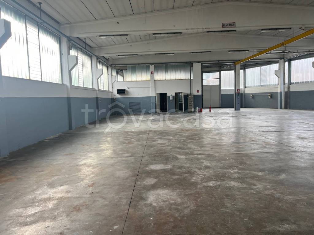 immagine annuncio 3 di 13