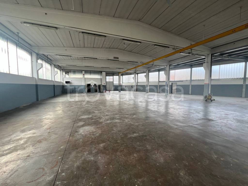 immagine annuncio 4 di 13