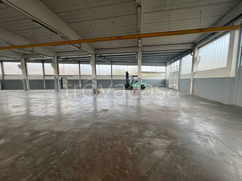 immagine annuncio 8 di 13